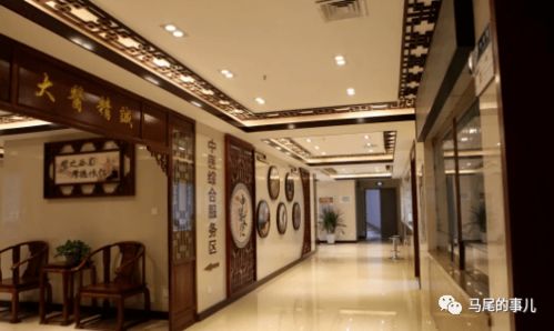 傳承國粹，守護健康——羅星街道社區衛生服務中心中醫門診正式開診